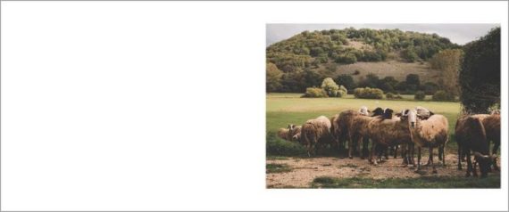 Douglas Stockdale, Ciociaria