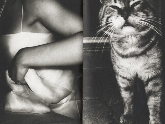 Anders Petersen, Rome a diary 2005